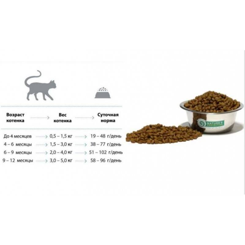 Сколько грамм корма котенку. Как измерить вес кошачьего корма. Как измерить вес сухого корма без весов для собак. Вес 1 гранулы сухого корма. Как выглядит 100 грамм сухого корма для кошек.