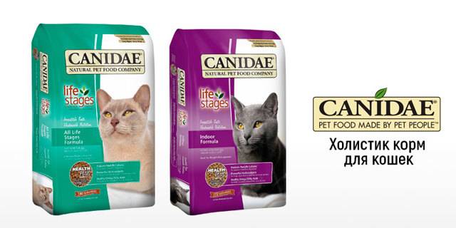 Самый лучший корм и котов для кошек по мнению ветеринаров | рейтинг