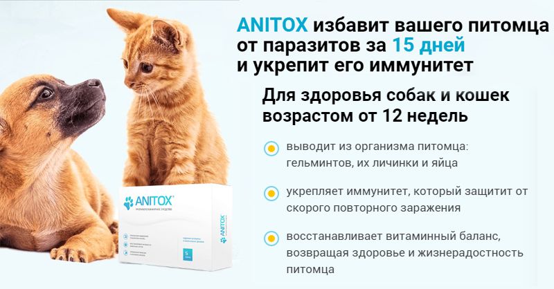 Бронхит  у детей - опасность, симптомы, причины, лечение | детская пульмонология см-клиники в спб