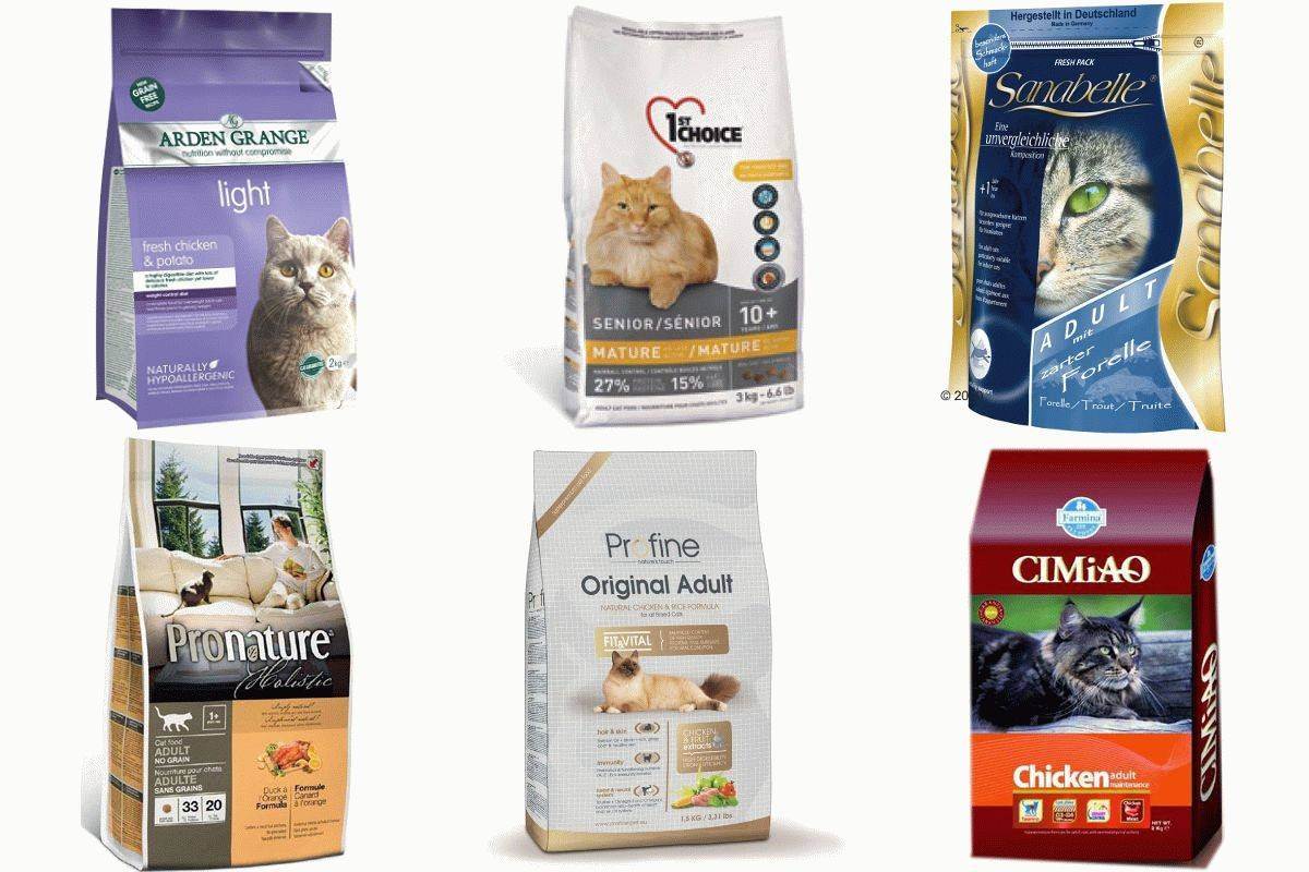 Классы кормов для кошек, классификация по категориям и видам, советы ветеринаров по выбору кошачьего питания