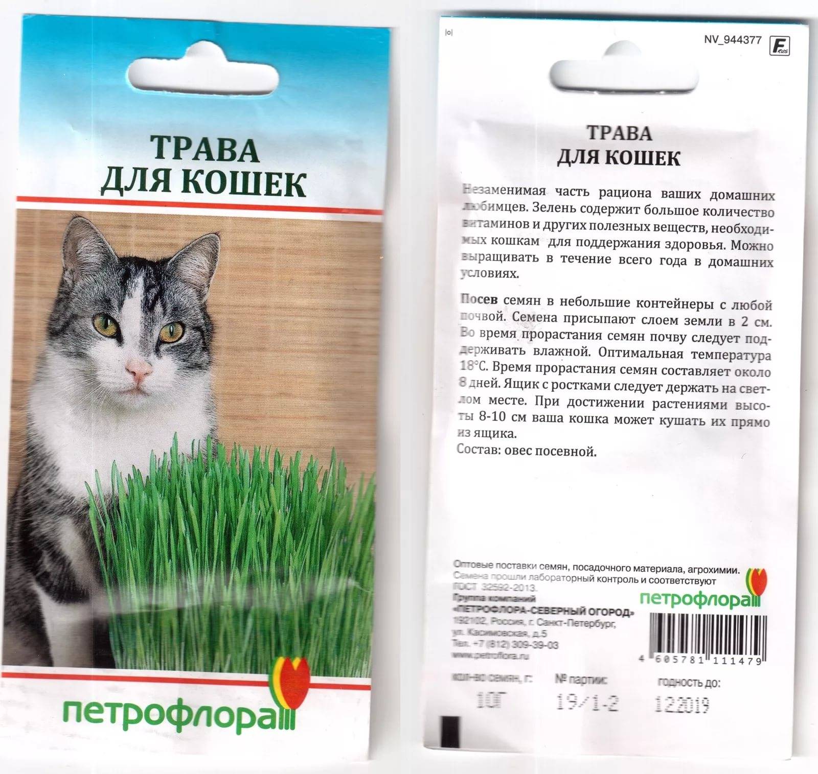 Трава для кошек и котов