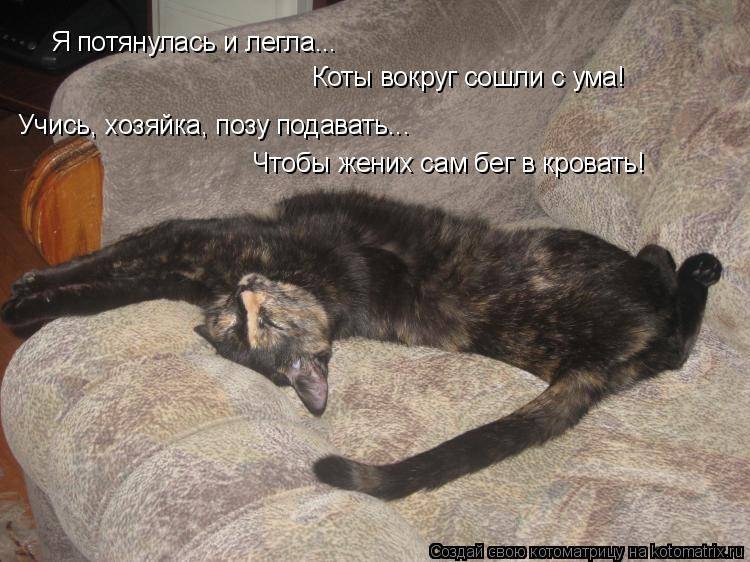 Сходи сама с ума. Плохо спалось. Кот сошел с ума. Кошка сошла с ума. Бегом в кровать.