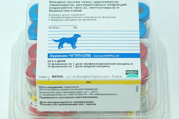 Рабизин вакцина для кошек │ инструкция  по применению рабизина коту