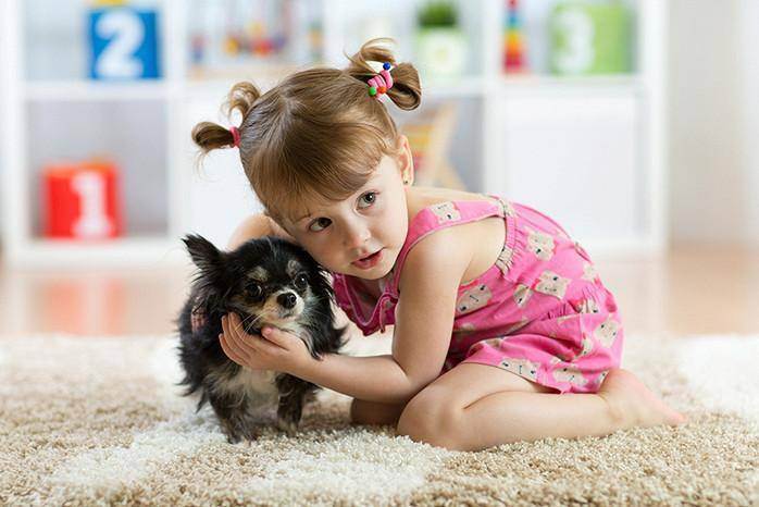 Заводить ли собаку - запись пользователя мария (maiii) в сообществе домашние животные в категории дети и животные - babyblog.ru