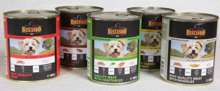 Суточная норма сухого корма и консервов для собак