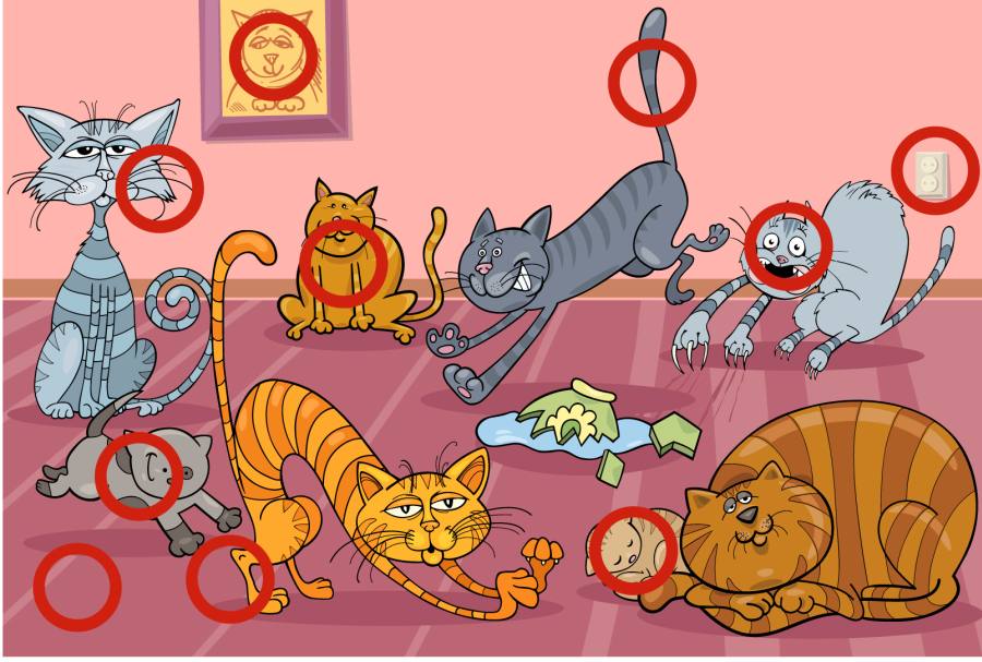 Видео для кошек на мониторе: рыбки, птички, кошки, игры