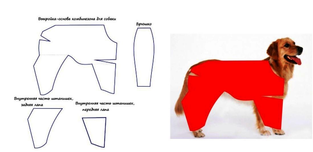 Одежда для собак выкройки схемы с размерами