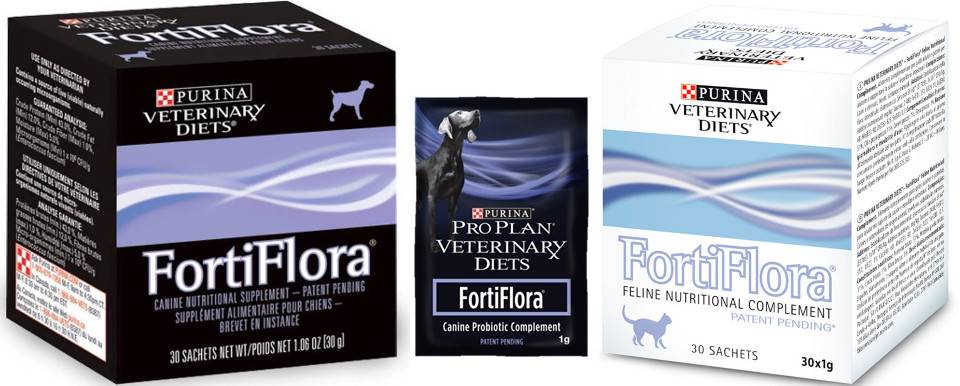 Фортифлора для собак: нюансы применения эффективного пробиотика