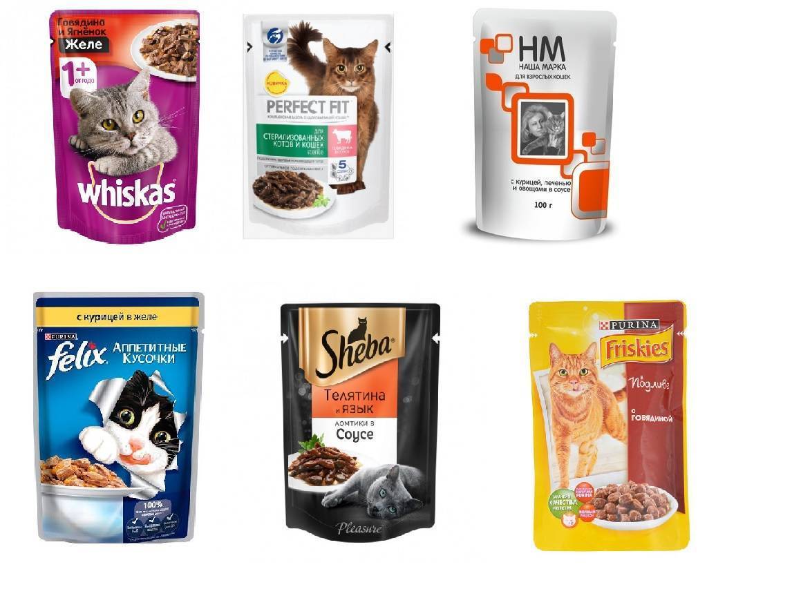 Обзор производителей кормов для кошек: названия и краткая характеристика популярных фирм