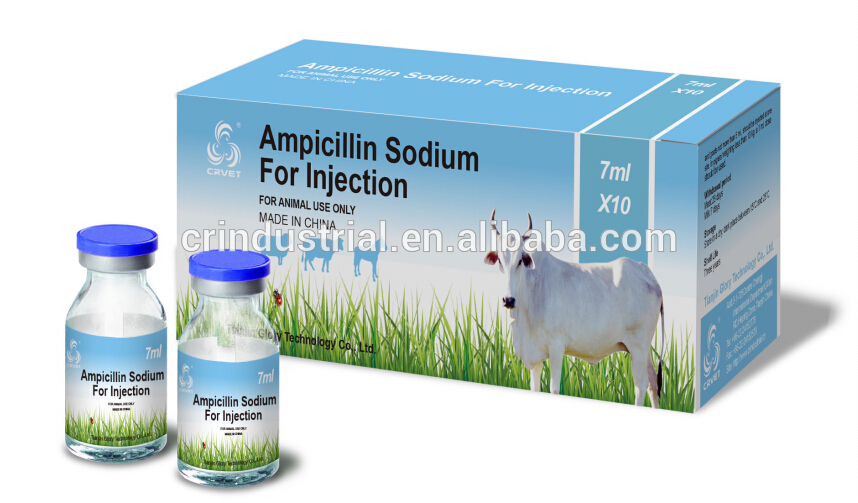 Ампициллин для собак, кошек, животных | инструкция по применению ампициллина в ветеринарии
