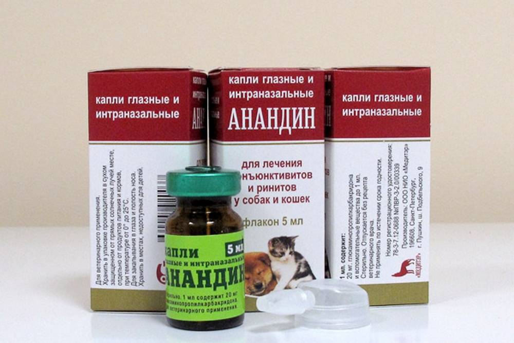 Анандин для кошек: инструкция по применению капель в нос, ушных и глазных, раствора для уколов, мази
