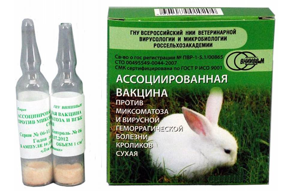 Вакцина для кроликов