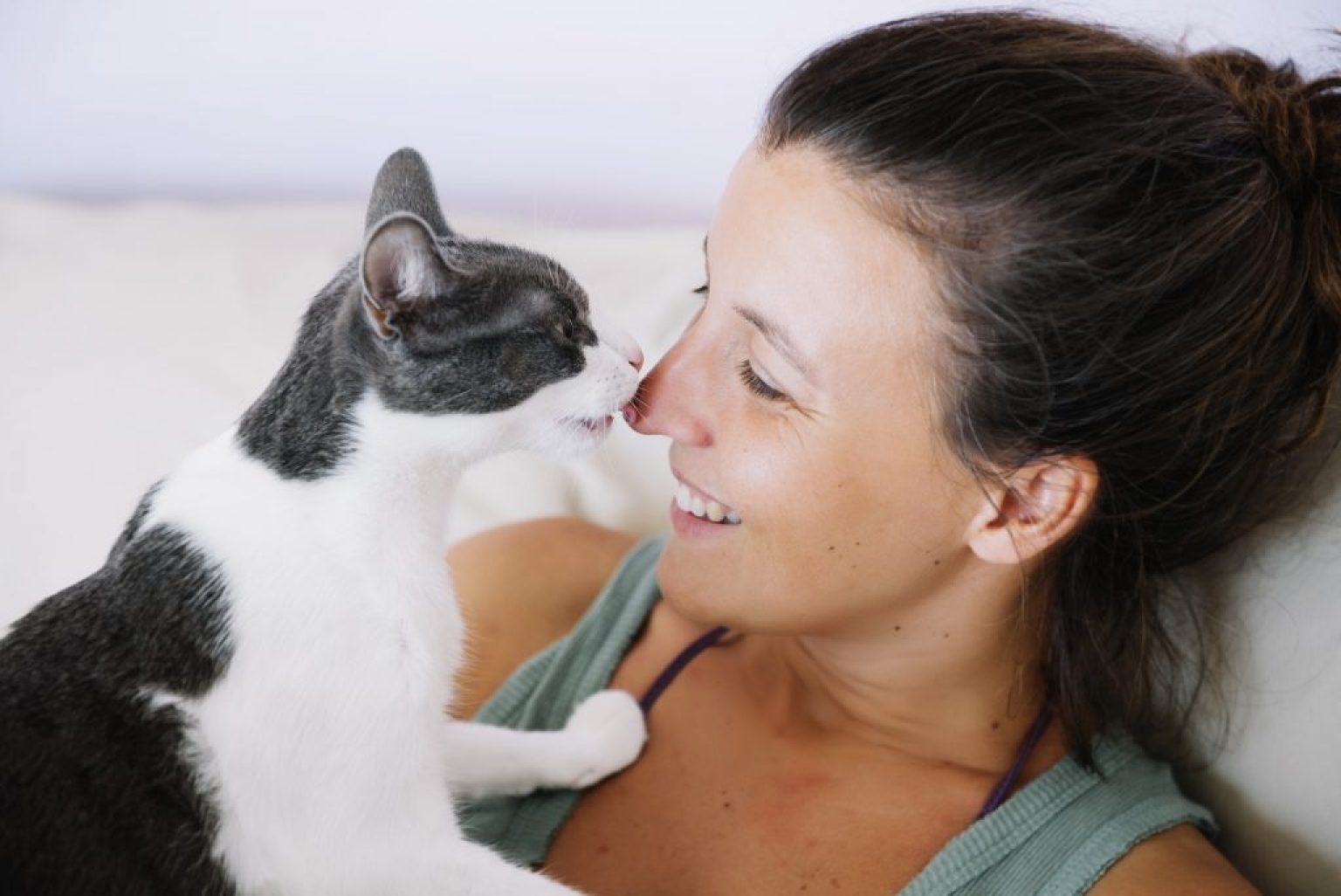 7 причины почему кошка лижет человека