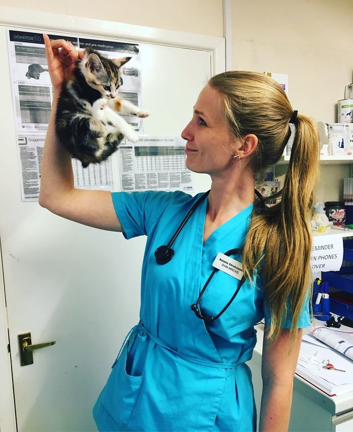 Самые известные ветеринары