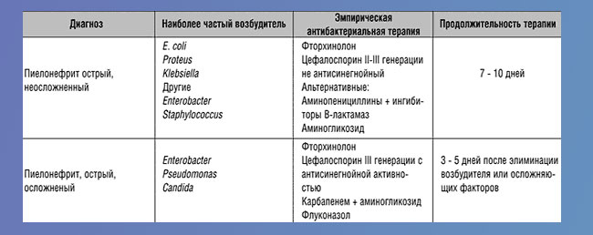 Пиелонефрит лечение у женщин препараты. Схема лечения острого пиелонефрита. Схема лечения хронического пиелонефрита. Схема лечения хронического пиелонефрита препаратами. Антибактериальной терапии острого и хронического пиелонефрита.