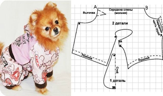 Как сделать одежду для собак своими руками: особенности изготовления изделий для мелких пород