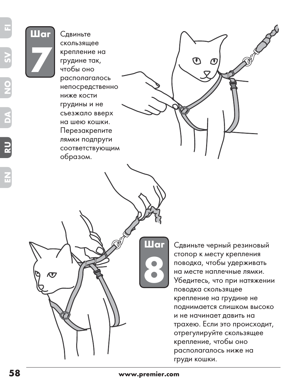 Как подобрать, собрать и правильно надеть на кошку или кота шлейку: инструкция по применению поводка для прогулки