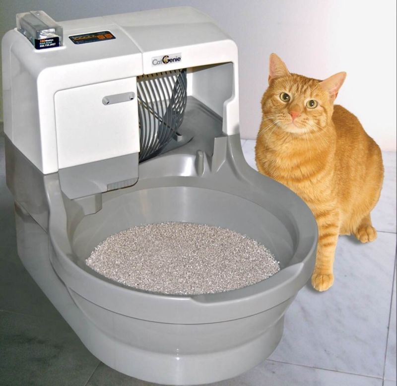Какой наполнитель для кошачьего туалета самый лучший. помогаем выбрать