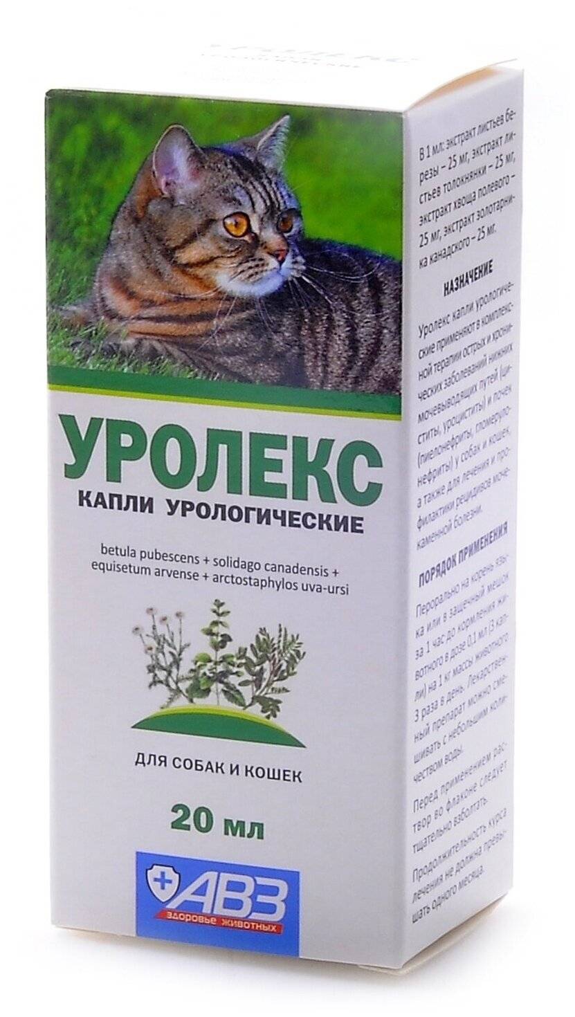 Инструкция по применению препарата «уролекс» для лечения кошек, противопоказания к использованию