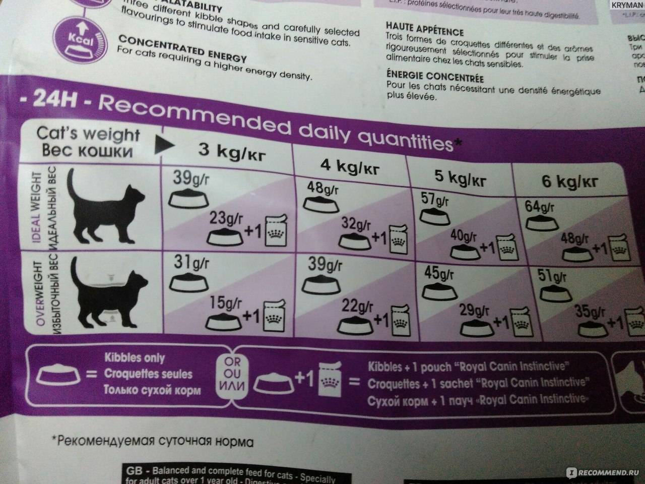 Можно ли кормить котят и взрослых кошек только влажными кормами