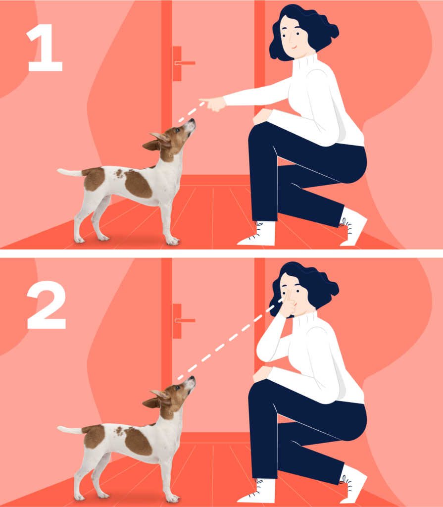 Как отучить собаку лаять дома когда кто то приходит