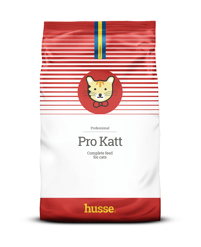 Husse (хуссе): обзор корма для кошек, состав, отзывы