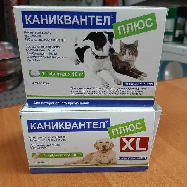 Каниквантел плюс для кошек: инструкция по применению, отзывы, аналоги, меры предосторожности