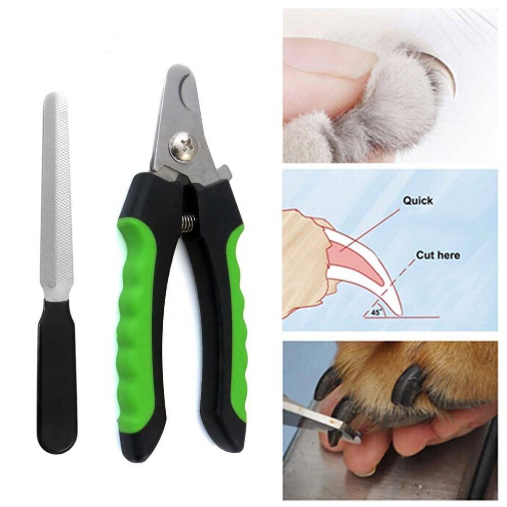 Ножницы для стрижки собак в домашних условиях