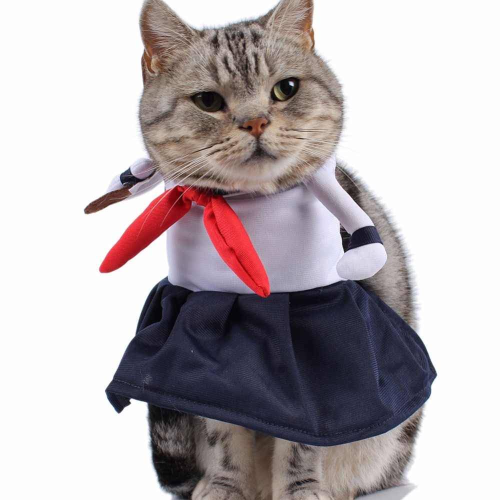 100 самых забавных одежек для котов: красивые костюмы у животных