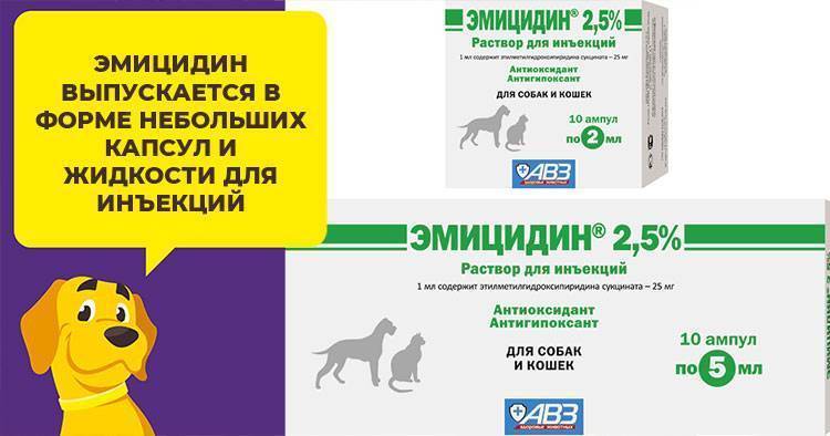 ᐉ эмицидин для собак: инструкция по применению, дозировка и побочные действия, противопоказания - kcc-zoo.ru