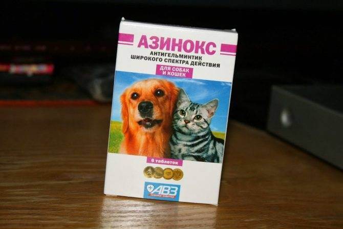 Азинокс плюс для собак: инструкция по применению