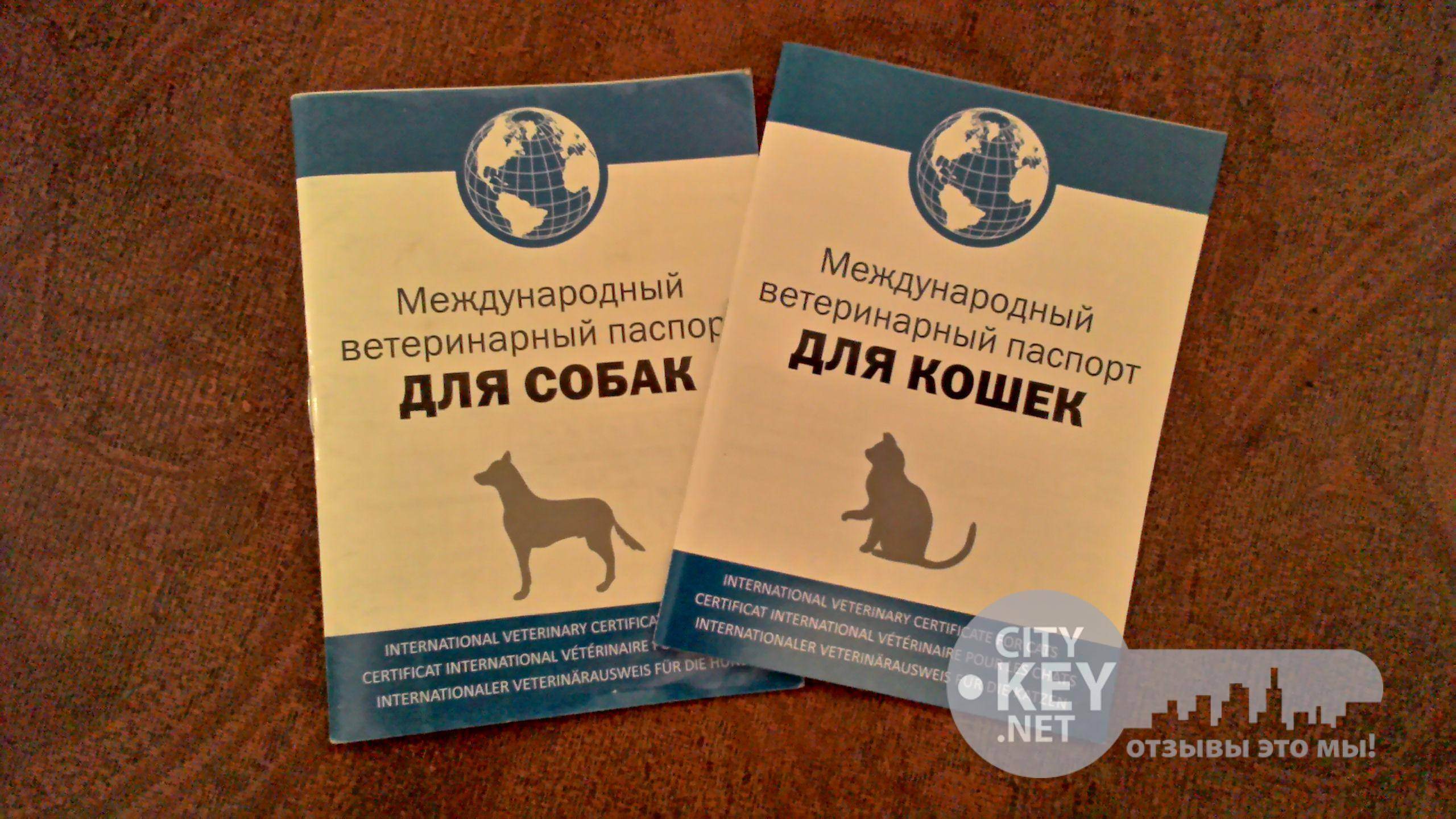 АВЗ ветеринарный Международный паспорт