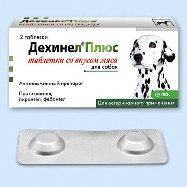 Таблетки от глистов для собак - обзор антигельминтных препаратов