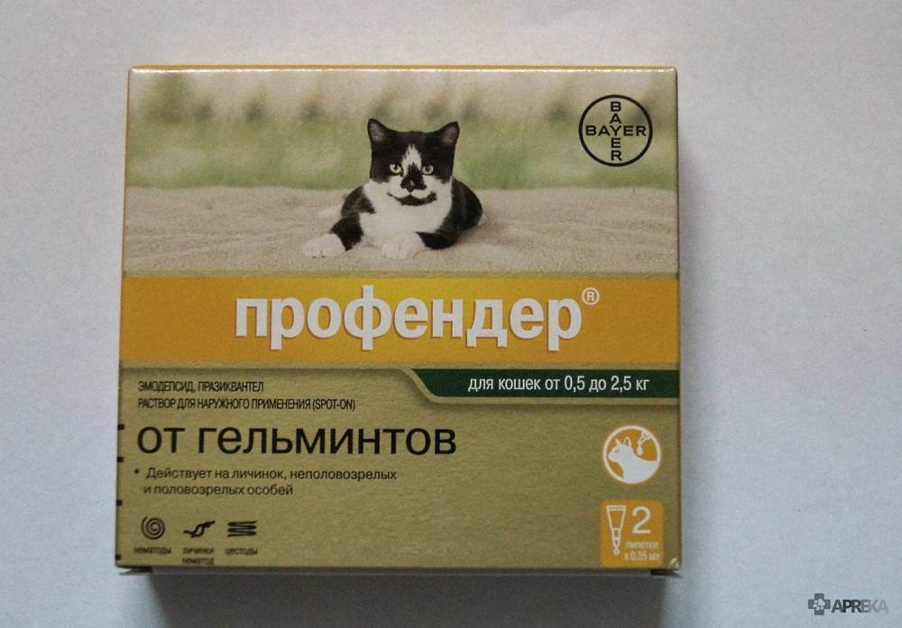 Препарат «профендер» для борьбы с глистами у кошек