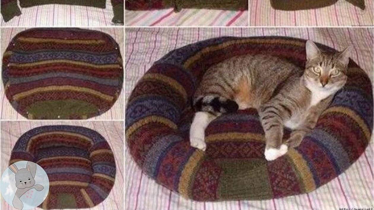 Лежак для кошки из старого свитера своими руками пошаговая инструкция с фото