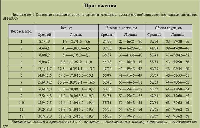 Вес среднеазиатской овчарки: в зависимости от пола, до какого возраста растут