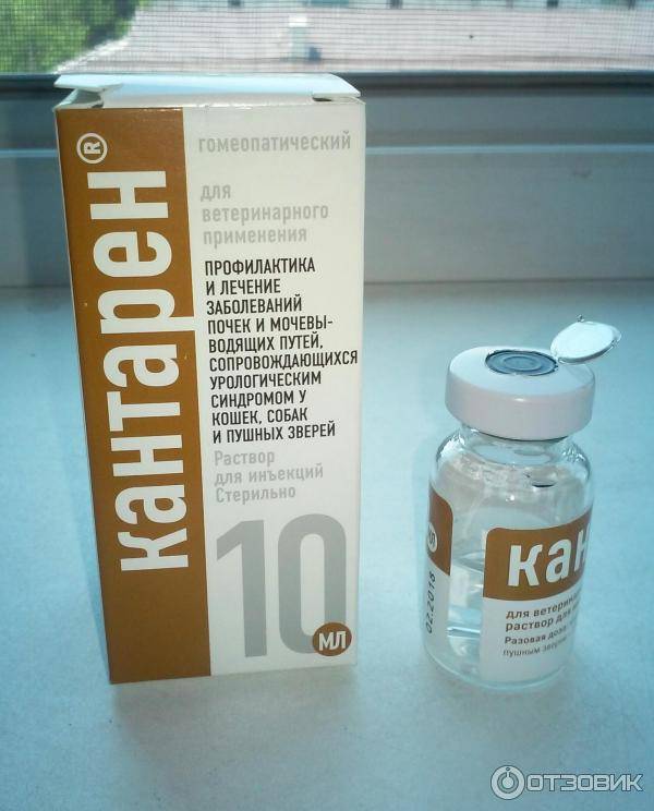 Таблетки, уколы или капли: что выбрать?