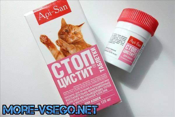 Лечение цистита у кошки