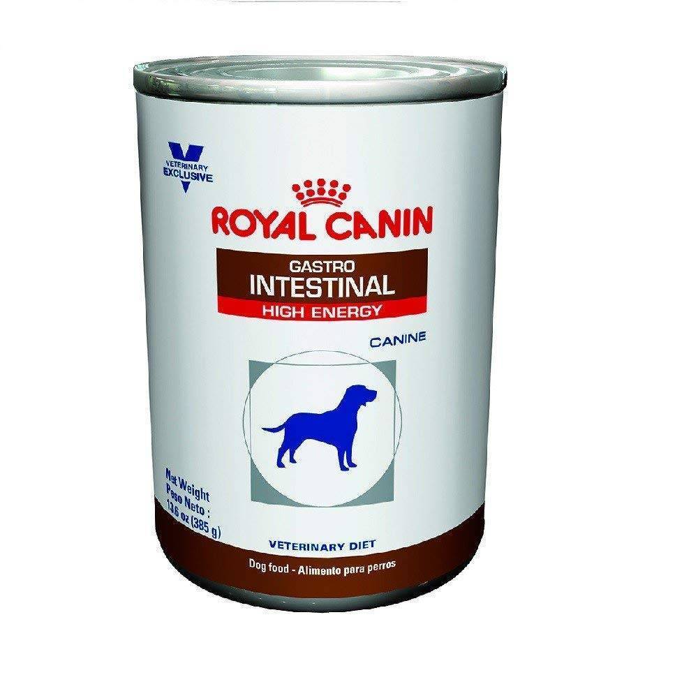 Royal canin gastro кошки