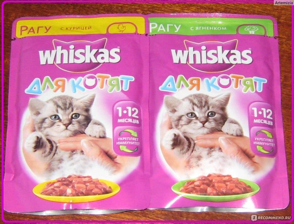 Вискас для кошек: состав корма и отличие его от других, отзывы ветеринаров и потребителей