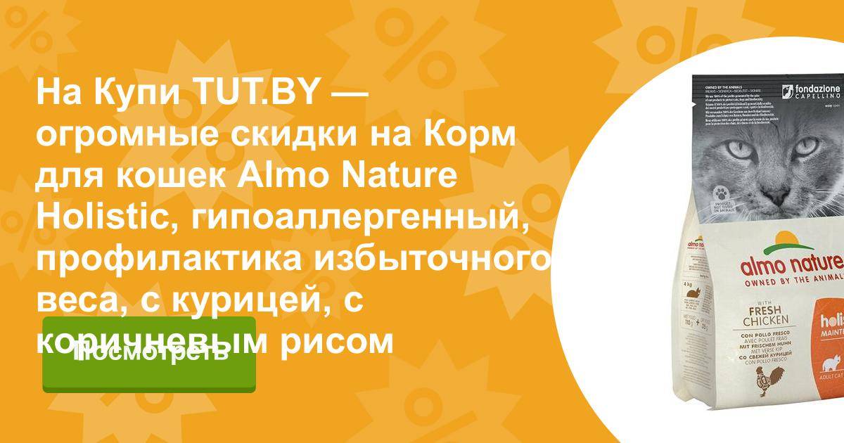 Сухой корм для кошек «фармина» — отзывы, особенности, виды и состав