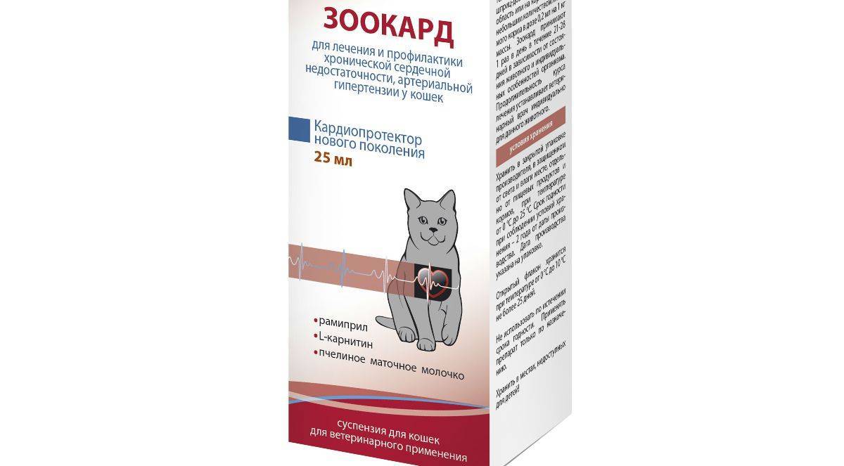 Ветом для кошек, инструкция по применению препарата в ветеринарии