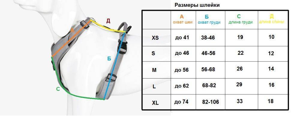 Как измерить собаку для шлейки фото