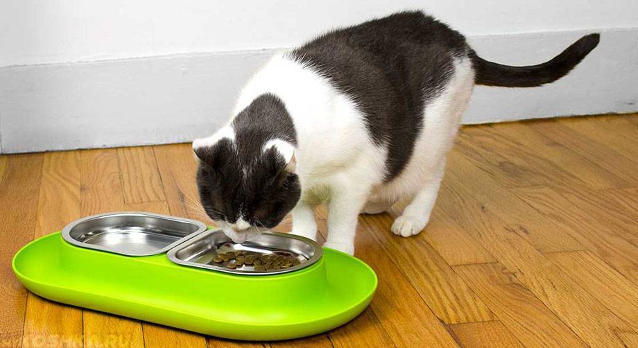 Как отучить кота от вискаса и приучить к нормальной еде