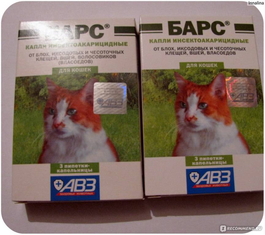 Капли для кошки от хотения кота - описание препаратов