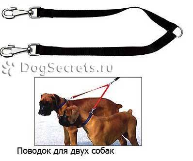 ᐉ как сделать поводок для собаки? - zoomanji.ru