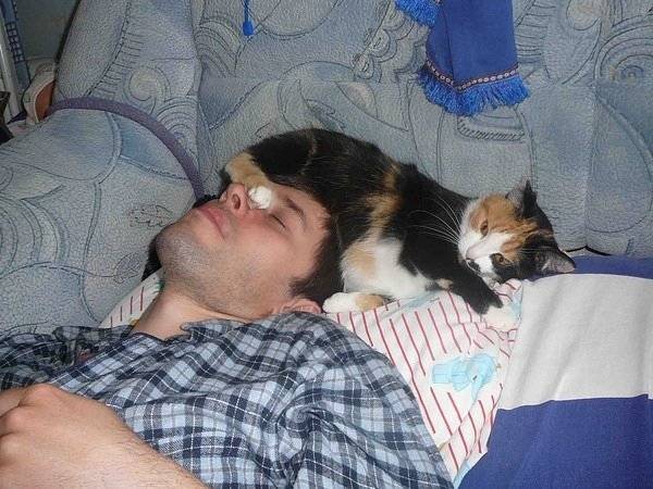 Почему кошка ложится на человека и спит в постели хозяина?
