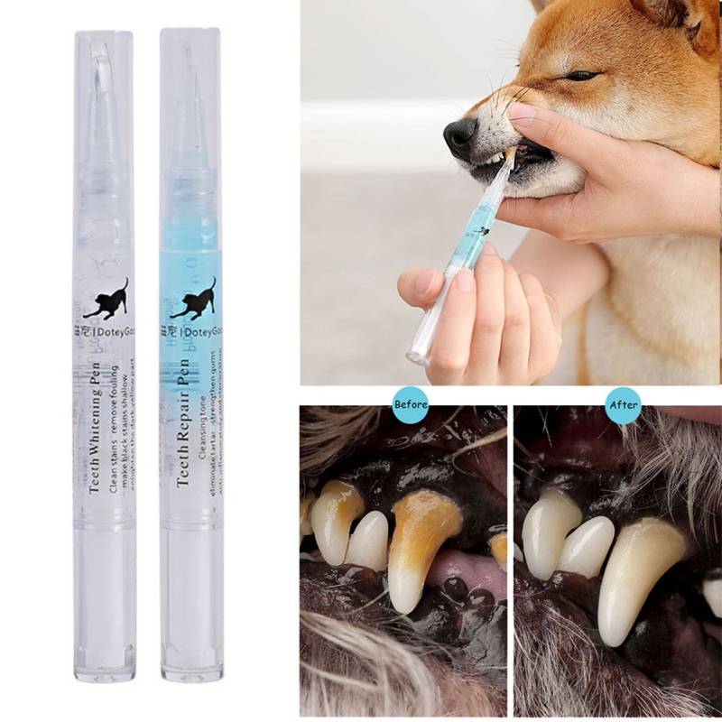 Чистка зубов, удаление зубного камня у собак