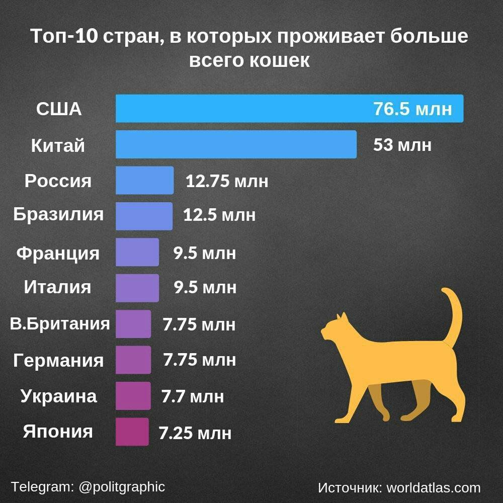 Какой стране живете. Статистика домашних животных в России. Численность домашних животных в мире. Популярность домашних животных. Статистика по домашним животным в мире.