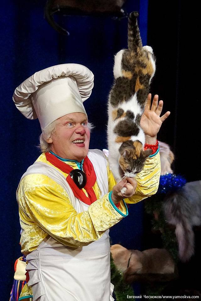 Юрий куклачев - биография, новости, личная жизнь, фото, видео - stuki-druki.com